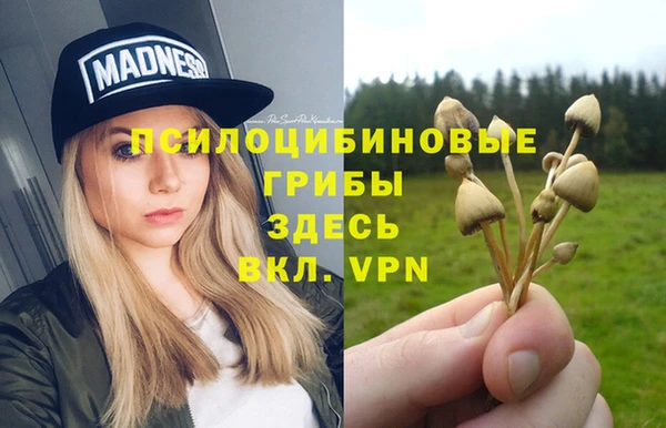 Альфа ПВП Абдулино