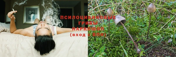 Альфа ПВП Абдулино