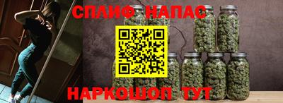 СК Гагарин