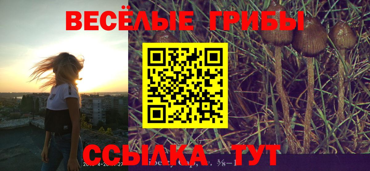 Псилоцибиновые грибы мухоморы  Вход с VPN  Лабытнанги 